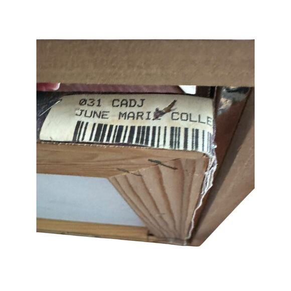 June Marie Mixed Media Abstract Canvas Painted Fiber Gallery Framed Art READ - Picture 5 of 11